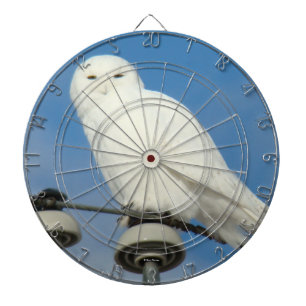 B50 Schneeeule Dartscheibe