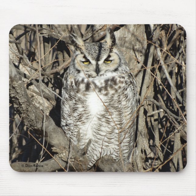B51 Großes Hornhuhn Mousepad (Vorne)