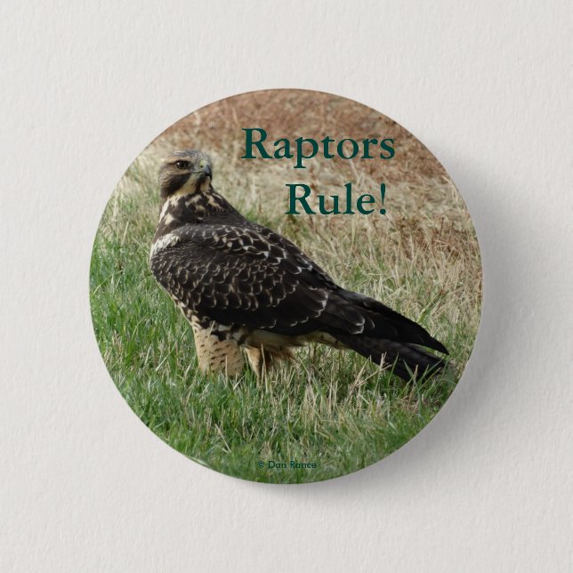 B52 Swainson's Hawk Button (Vorderseite)