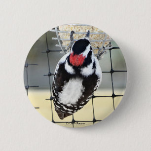 B53 Kleinspecht Button
