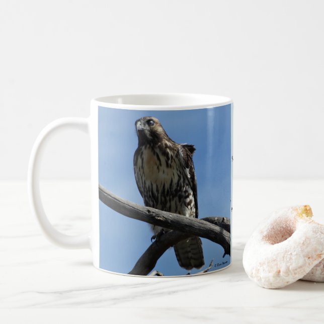 B54 Swainsons Habicht Kaffeetasse (Mit Donut)