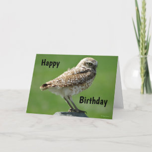 B56 Burrowing Owl Feiertagskarte