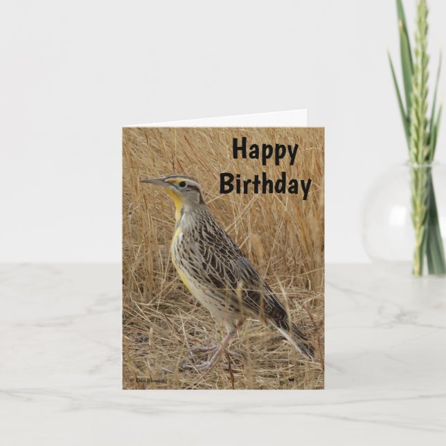 B57 Western Meadowlark Feiertagskarte (Vorderseite)