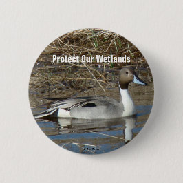 B5 Pintail Duck Drake Button