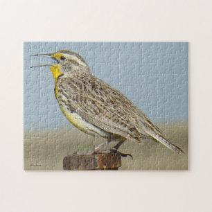 B6 Western Meadowlark
