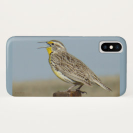 B6 Western Meadowlark Case-Mate iPhone Hülle