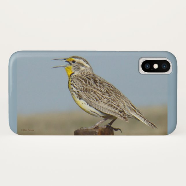 B6 Western Meadowlark Case-Mate iPhone Hülle (Rückseite (Horizontal))