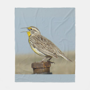 B6 Western Meadowlark Fleecedecke