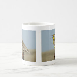 B6 Western Meadowlark Kaffeetasse