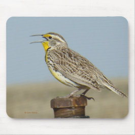 B6 Western Meadowlark Mousepad