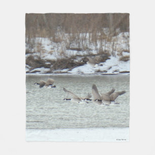 B7 Kanadische Gänse über Frozen Fleecedecke