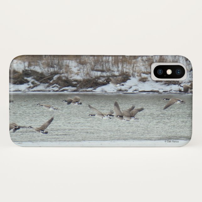 B7 Kanadisches Gänse Case-Mate iPhone Hülle (Rückseite (Horizontal))