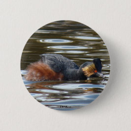 B8 Eared Grebe Courting Button