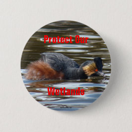 B8 Eared Grebe Courting Button