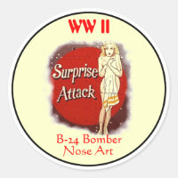 B-24 Nase Art-WW II