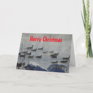 B 49 Kanadagänse auf einer Weihnachtskarte mit neb Dankeskarte