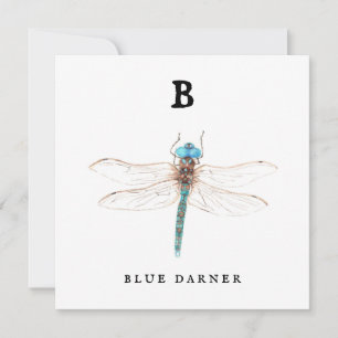 ‚B‘ Blue Darner