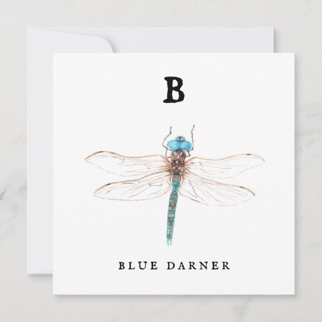 "B" Blue Darner Flachkarte (Vorderseite)