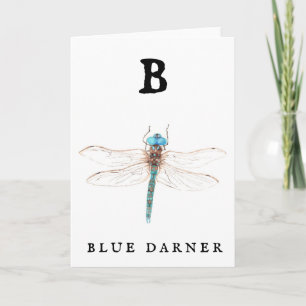 ‚B‘ Blue Darner Karte