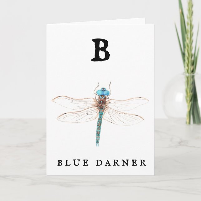 ‚B‘ Blue Darner Karte (Vorderseite)