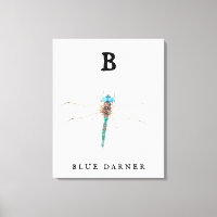 ‚B‘ Blue Darner