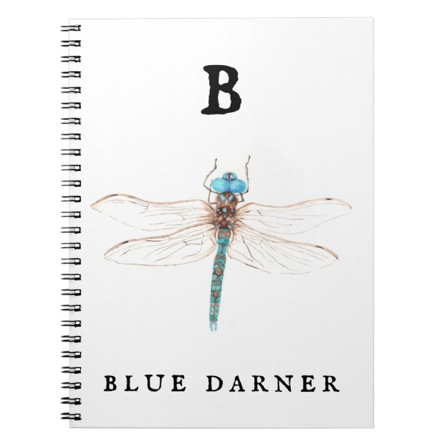 ‚B‘ Blue Darner Notizblock (Vorderseite)