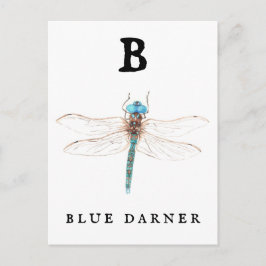 ‚B‘ Blue Darner Postkarte