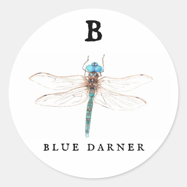 ‚B‘ Blue Darner Runder Aufkleber (Vorderseite)