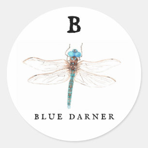 ‚B‘ Blue Darner  Runder Aufkleber