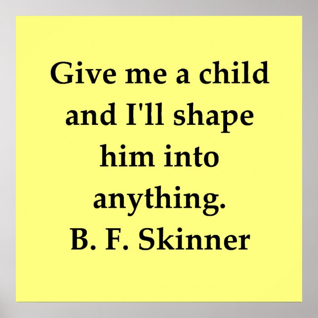 b f skinner quote poster (Vorne)