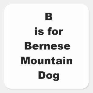 b ist für bernese mt dog.png quadratischer aufkleber