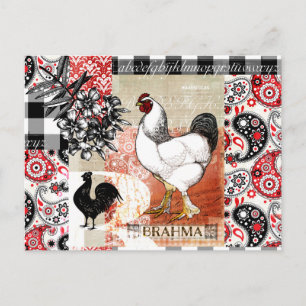 B steht für Brahma-Hinterhofhuhn Postkarte