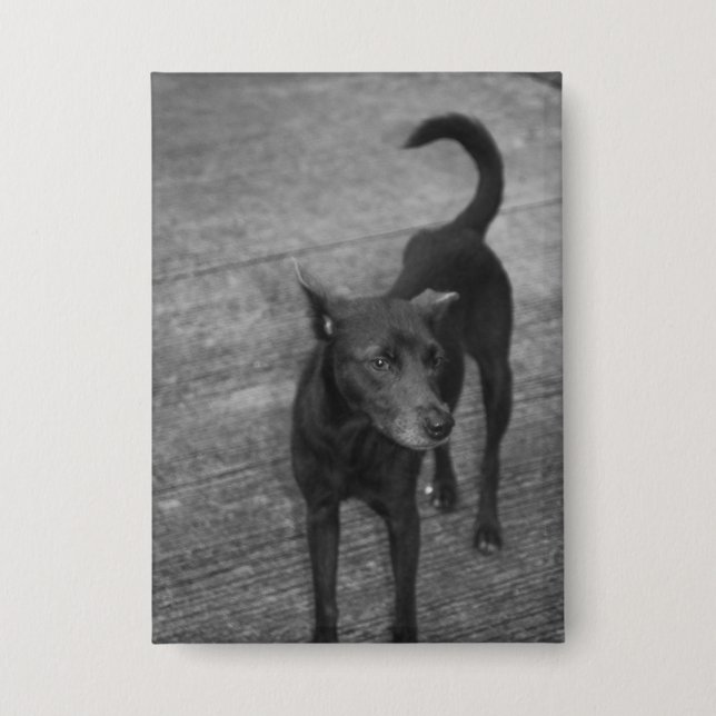 B&W - Aspin Button (Vorderseite)