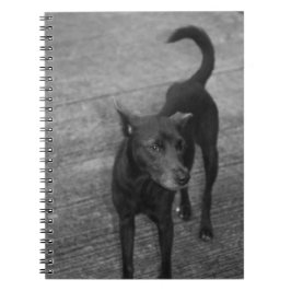 B&W - Aspin Notizblock