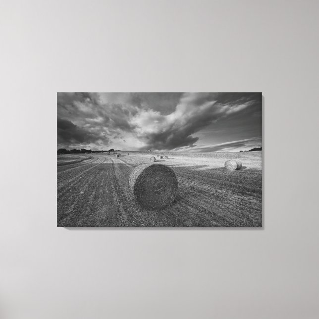 B&W Barley Field 2 Leinwanddruck (Vorderseite)