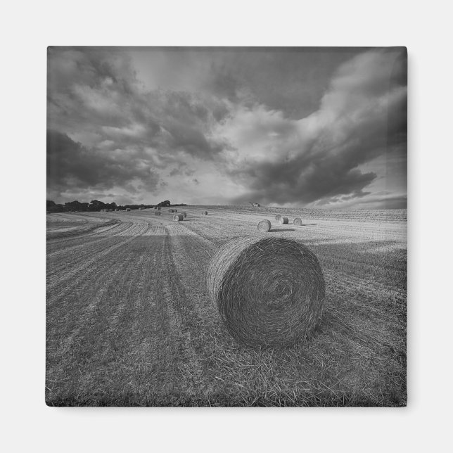 B&W Barley Field Magnet (Vorne)