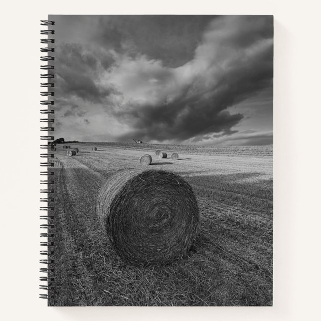 B&W Barley Field Notizbuch (Vorderseite)