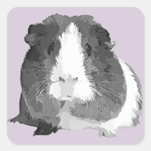 B&W 'Betty' Guinea Pig Stickers