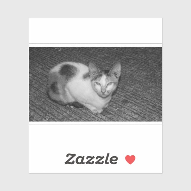 B&W - Cat 03 Aufkleber (Blatt)