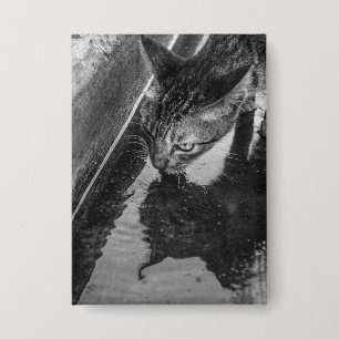 B&W - Cat Drinks Button