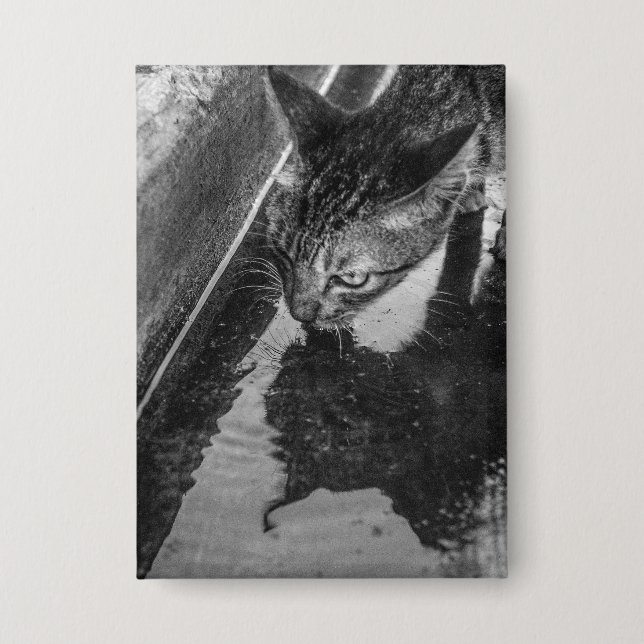 B&W - Cat Drinks Button (Vorderseite)