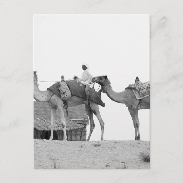 B&W Dubai Wüste Postkarte (Vorderseite)
