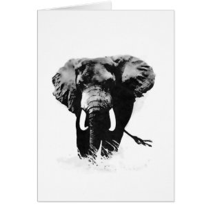 B&W Elefant