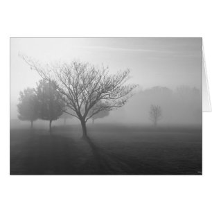 B&W Foggy Morning Sunrise Grußkarte