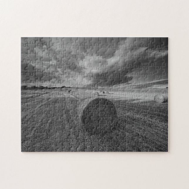 B&W Gersten-Feld (Horizontal)