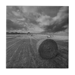 B&W Gersten-Feld Fliese