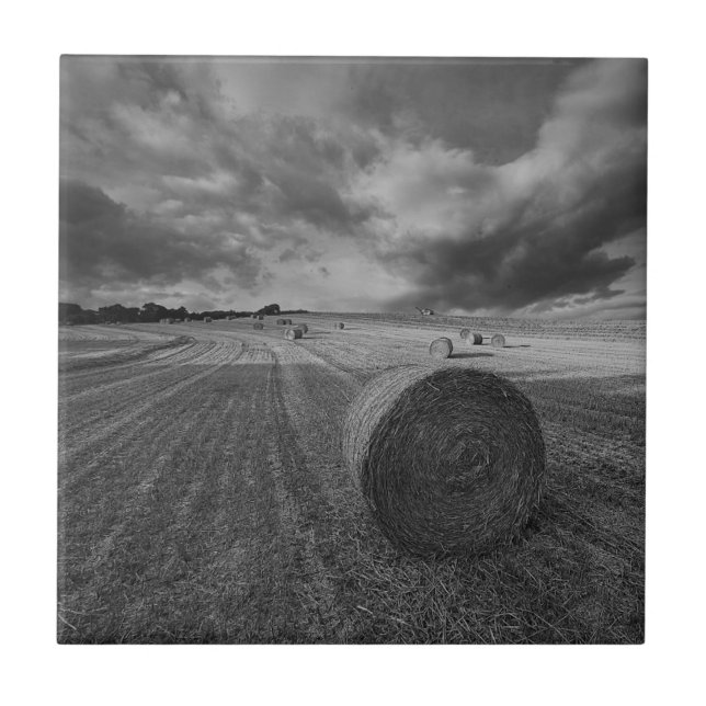 B&W Gersten-Feld Fliese (Vorderseite)