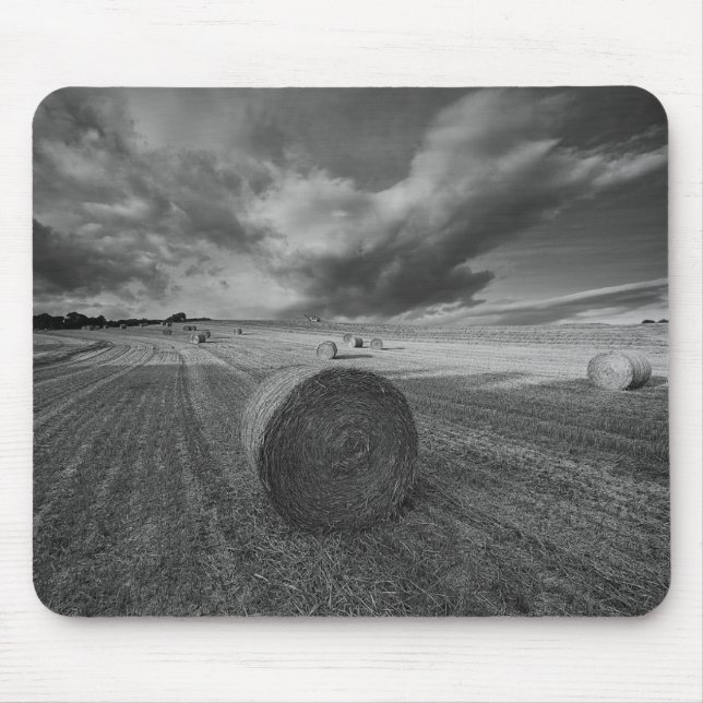 B&W Gersten-Feld Mousepad (Vorne)