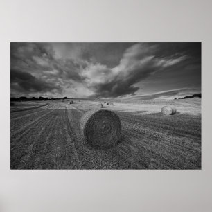 B&W Gersten-Feld Poster