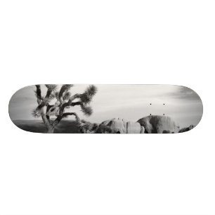 B&W Joshua Baum-Nationalpark Skateboard